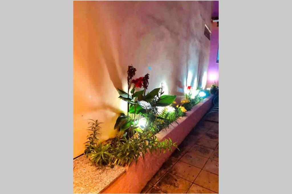 Ionian Stylish Apartment Preveza Marina 외부 사진